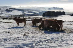 Les Estables 2018 43