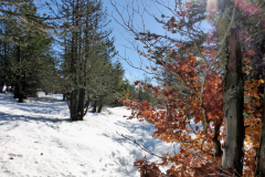 Les Estables 2018 49