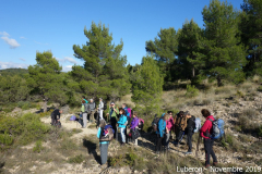 LUBERON-09