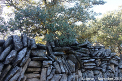 LUBERON-11