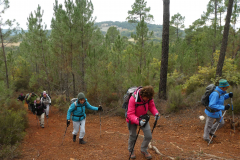 LUBERON-36