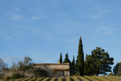 LUBERON-38