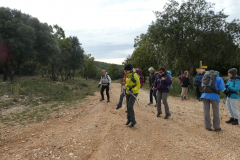 LUBERON-44
