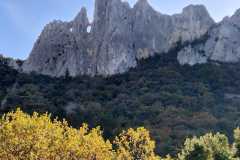 IMG-20251112-WA0002