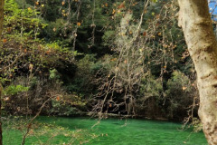 IMG_20251122_161446