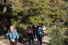 Luberon-2025-02