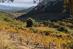 Luberon-2025-03