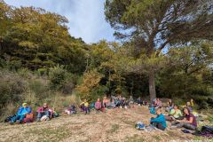 Luberon-2025-07