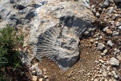 Luberon-2025-17