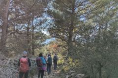 Luberon-2025-25