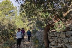 Luberon-2025-26