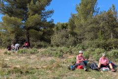 Luberon-2025-27