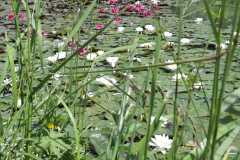 IMG-20260518-WA0002