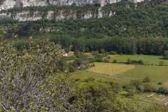 IMG-20260518-WA0010