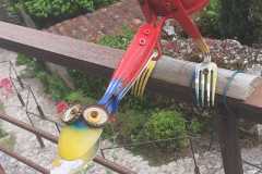 IMG-20260518-WA0018