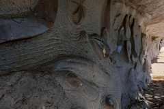 IMG-20260518-WA0019