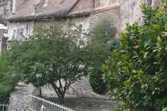 IMG-20260518-WA0021