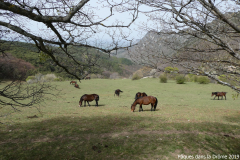 Pâques-2019-02