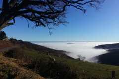 IMG-20211231-WA0013