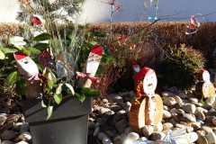 IMG-20220101-WA0009