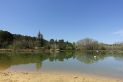 DSC08625