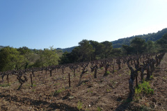 DSC08675
