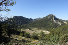 DSC08689