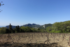 DSC08696