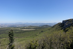 DSC08698