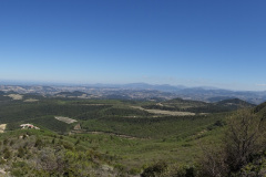 DSC08701