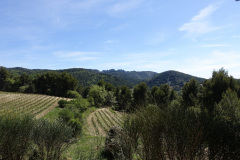 DSC08743