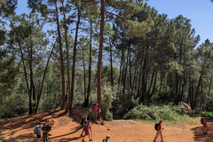 PXL_20220416_125412760