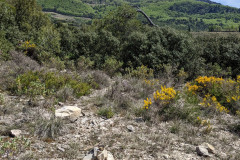 PXL_20220418_122525454