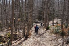 IMG_20230414_064257