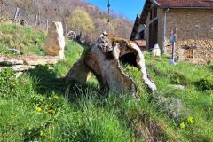 IMG_20230414_064305