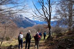 IMG_20230414_064349