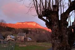 IMG_20230414_064525