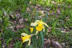 IMG_20230415_171341-2