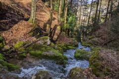 IMG_20230415_171341-4