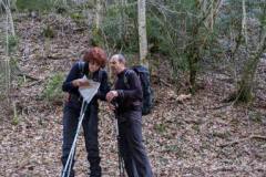 IMG_20230415_171341-5