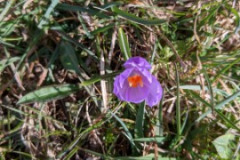 IMG_20230415_171341