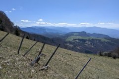 IMG_20230415_171515-2