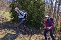 IMG_20230415_171515-5
