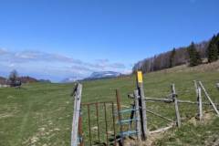 IMG_20230415_171515-7