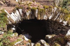 image0000021-6