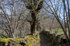 image0000041-4