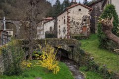 PXL_20240330_103456462_1512_2016