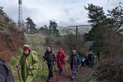 PXL_20240330_112231896_1512_2016