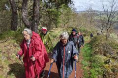 PXL_20240330_112503979_2016_1512