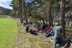 PXL_20240330_123604007_2016_1512